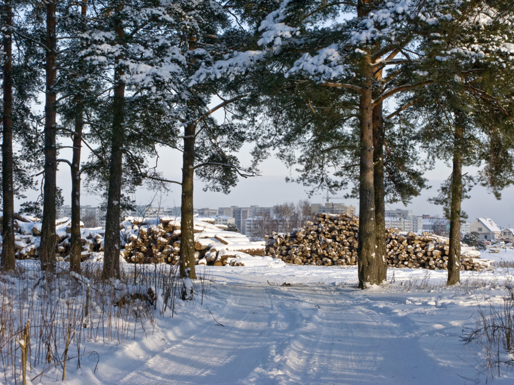 Stack of logs